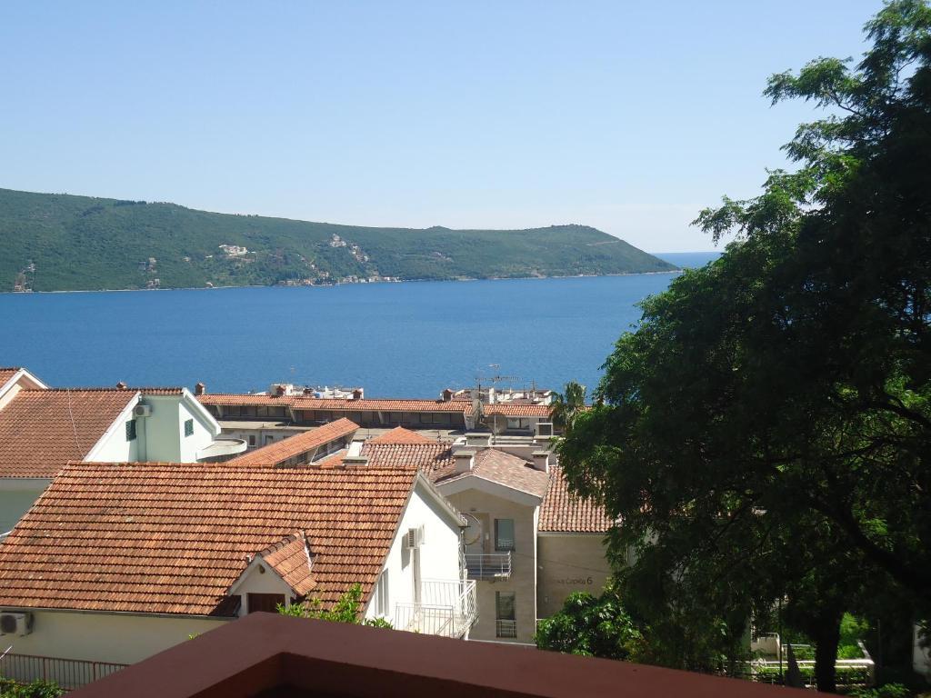 Micunovic * Herceg Novi